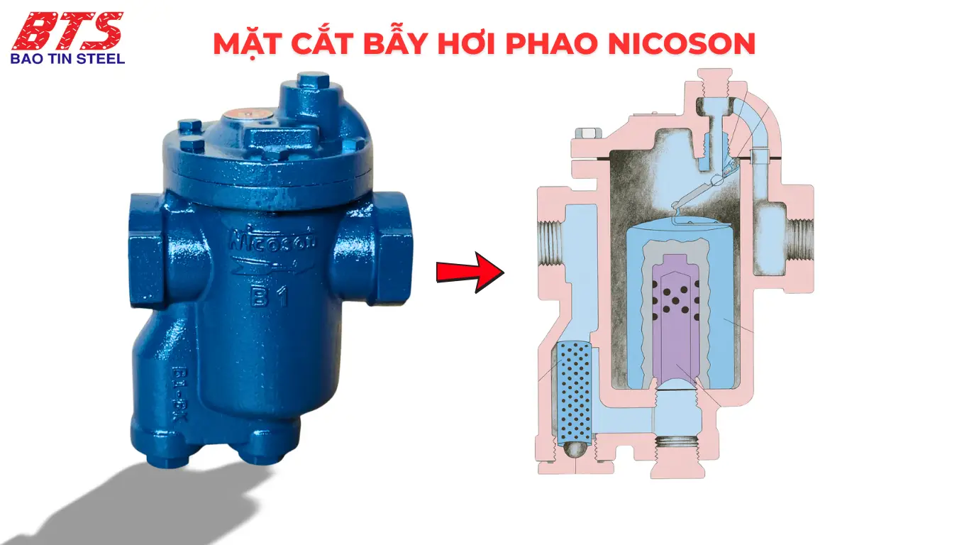 Mặt cắt bấy hơi phao Nicoson