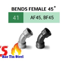 Bends female 45° Siam