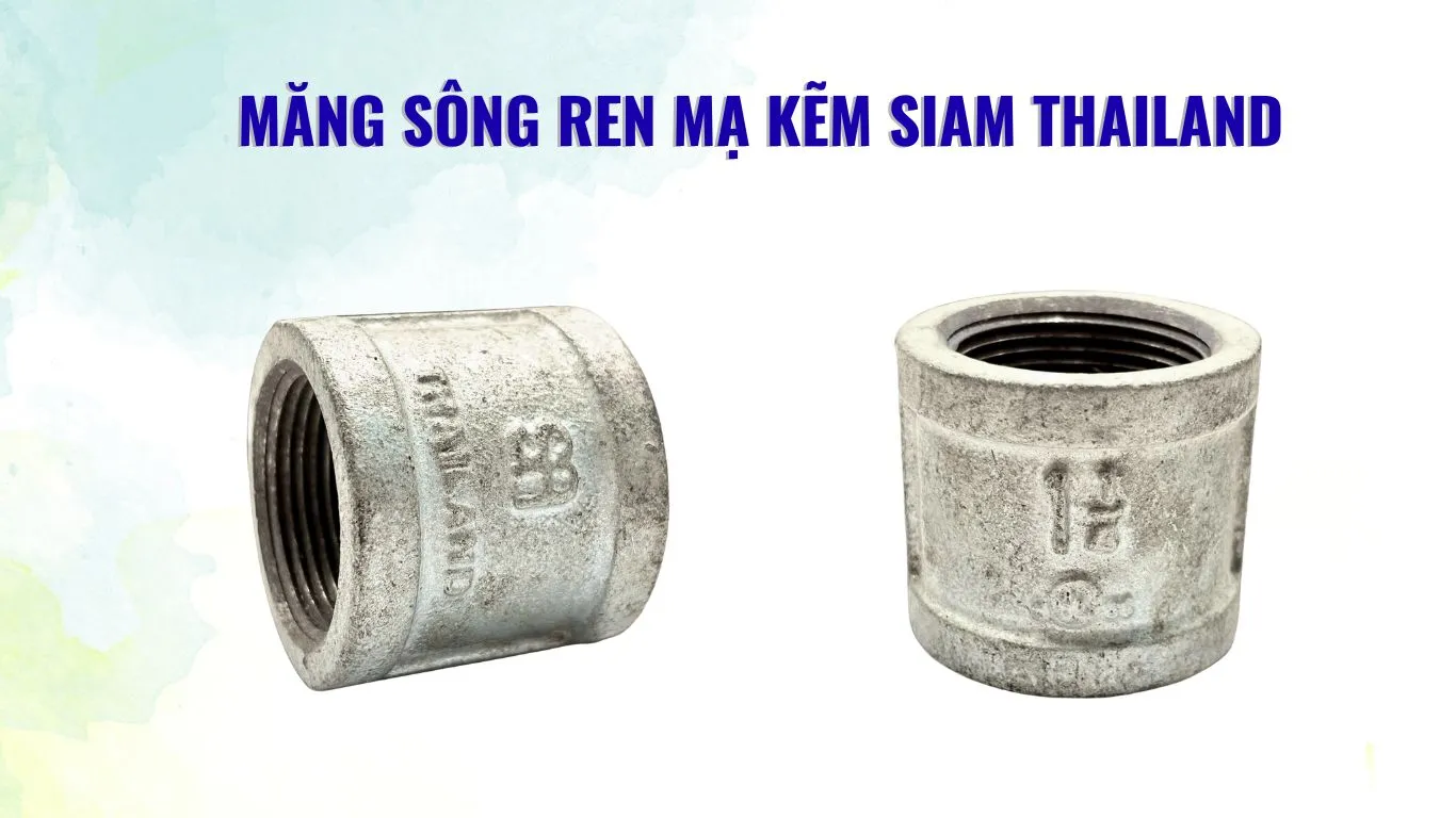 Đặc điểm măng sông ren trong Siam Đặc điểm măng sông ren trong Siam