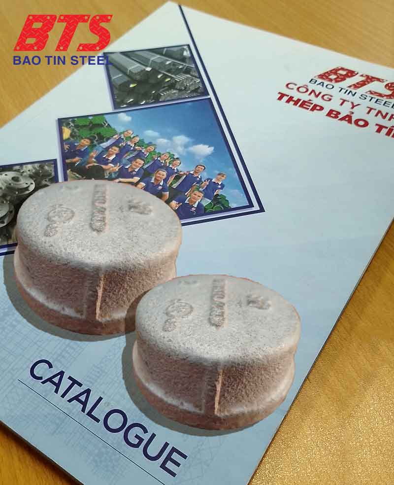 Nắp bịt đầu ống ren trong Siam chất lượng tại Thép Bảo Tín 