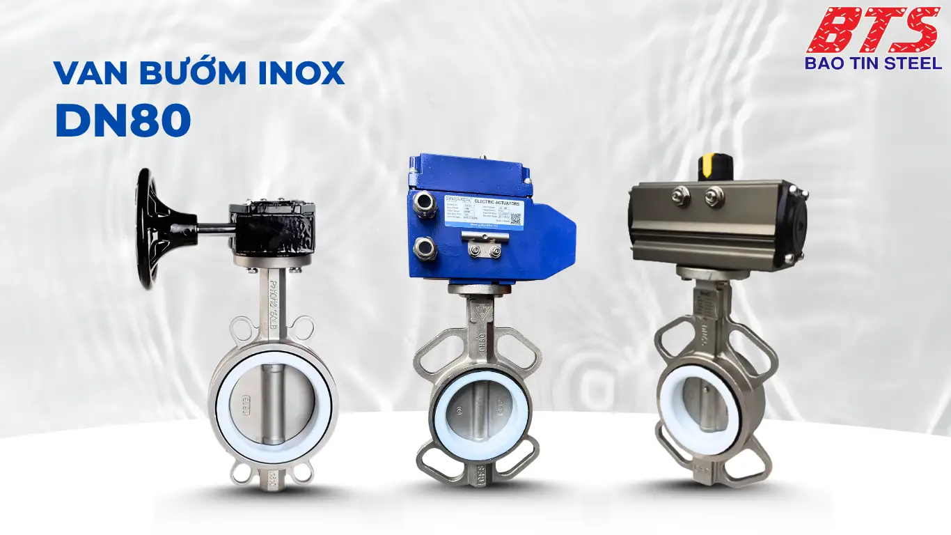 Các loại van bướm Inox DN80