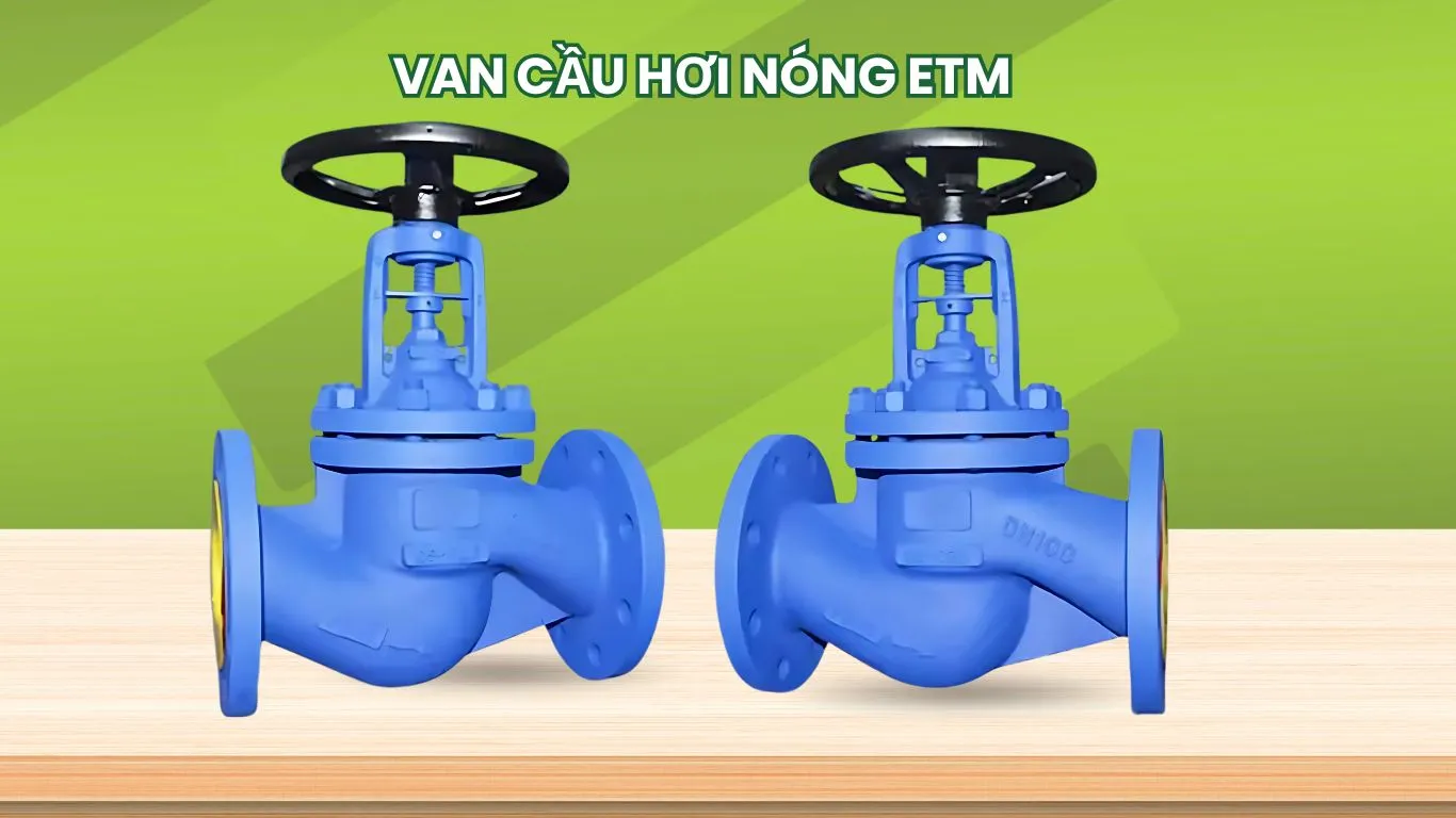 Van cầu hơi ETM