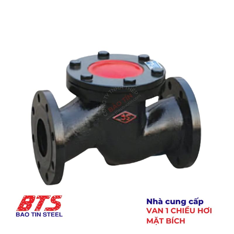 Van một chiều hơi mặt bích