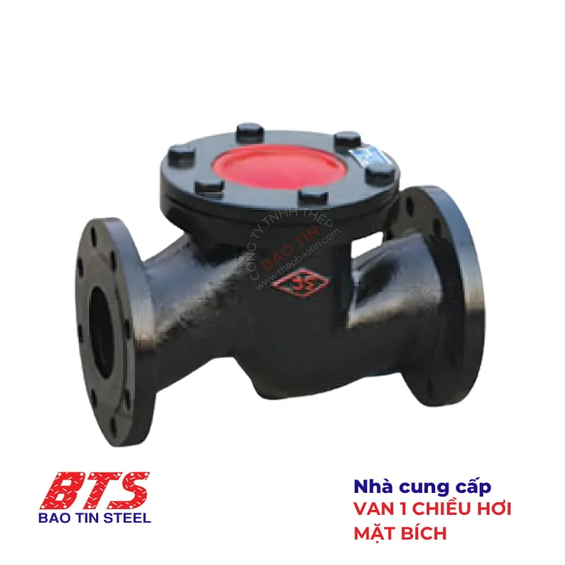 Van một chiều hơi mặt bích