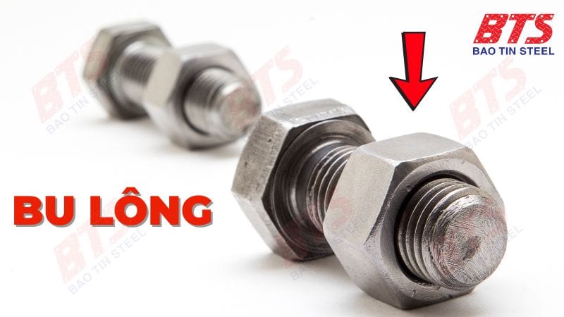Bu lông (Bolts)