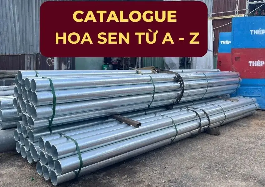Catalogue Hoa Sen chi tiết