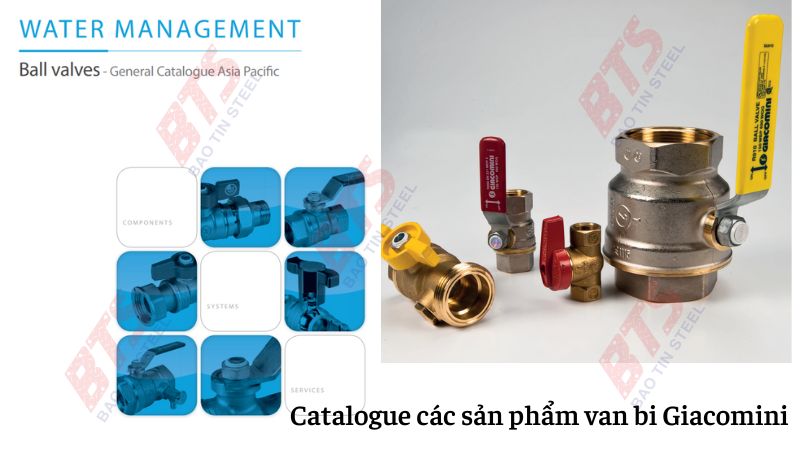 Các sản phẩm van bi chủ lực Giacomini