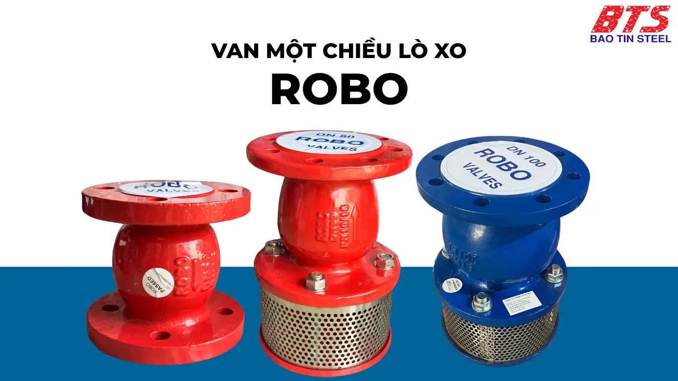 Van một chiều lò xo ROBO