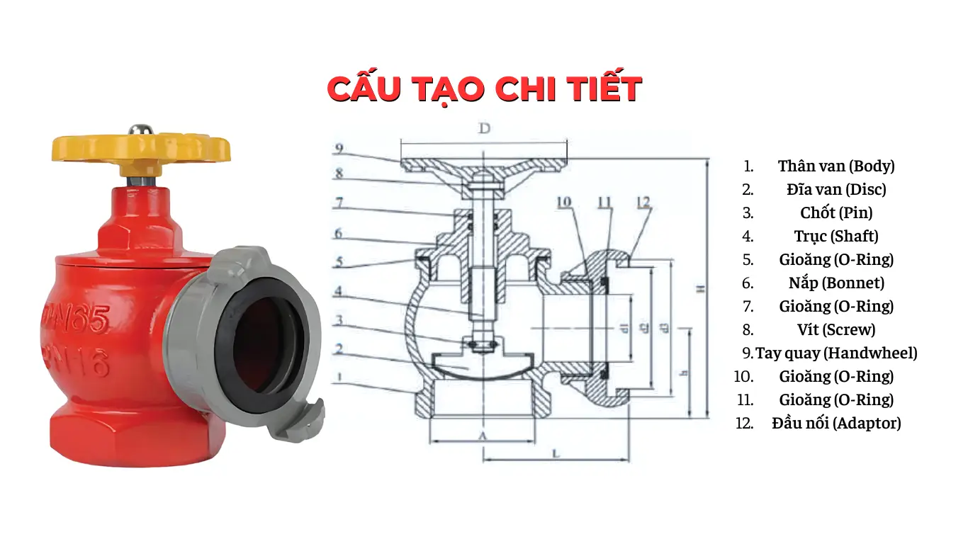 Cấu tạo chi tiết