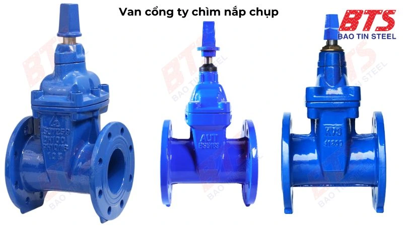 Van cổng ty chìm nắp chụp
