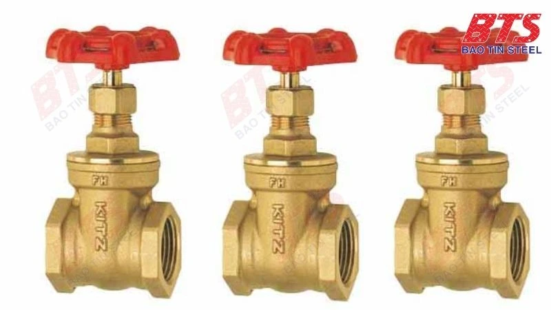 Kitz Brass Gate Valve