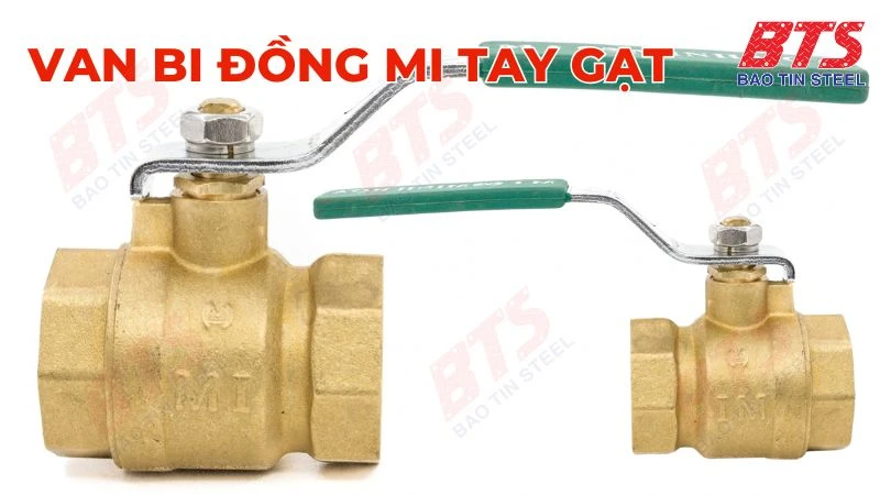 Van bi đồng MI