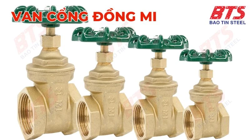 Van cửa đồng MI