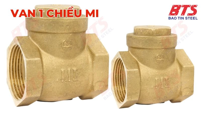 Van 1 chiều lá lật MI