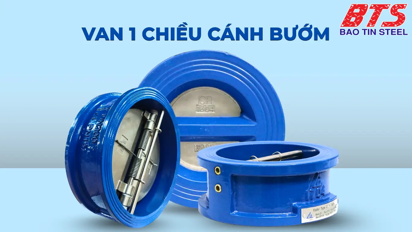 Van 1 chiều cánh bướm