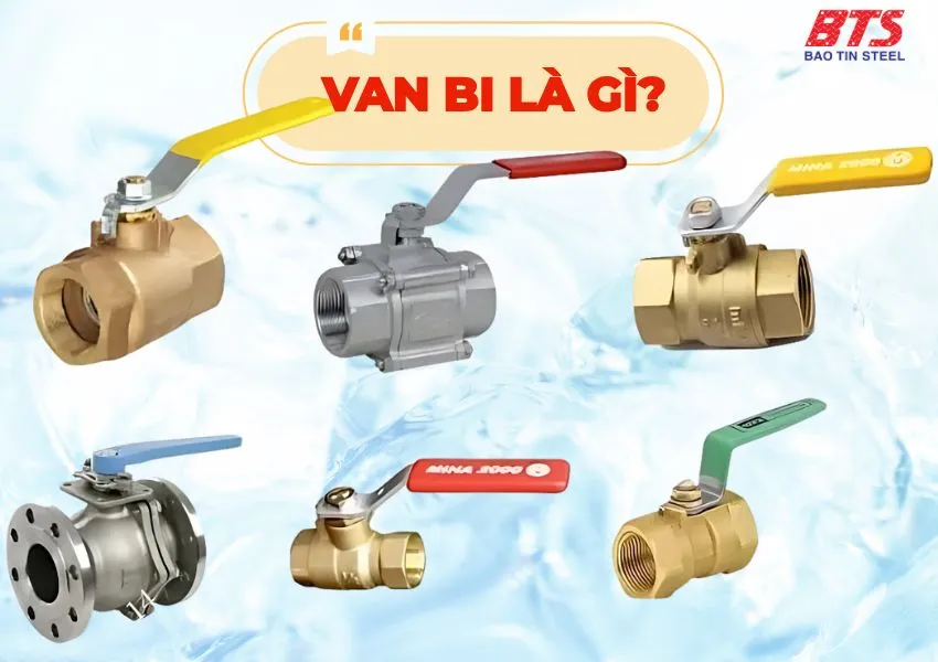 Van bi là gì