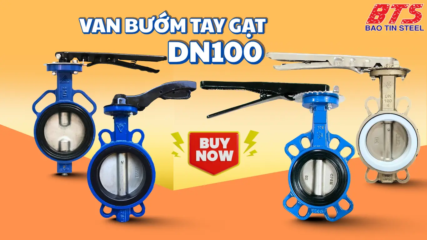 Các mẫu van bướm tay gạt DN100