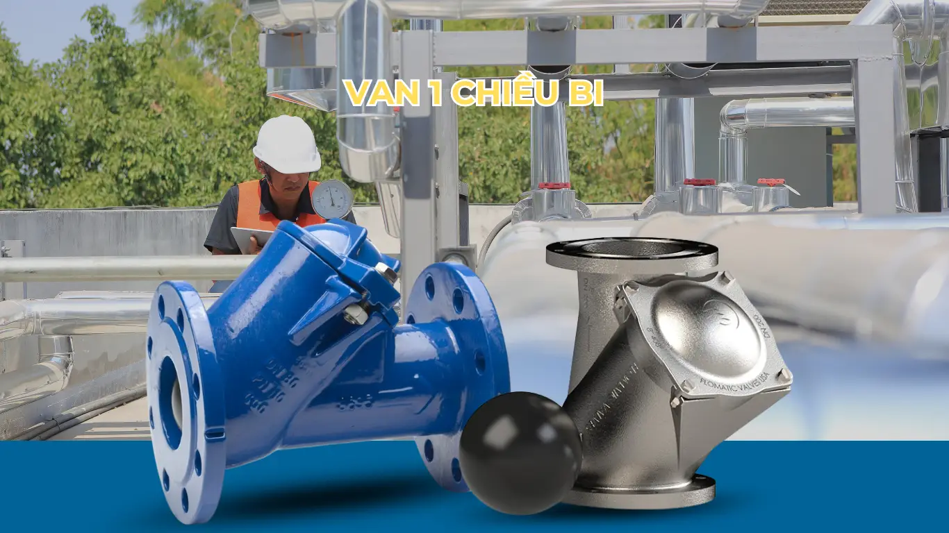 Van 1 chiều bi (Ball Check Valve)
