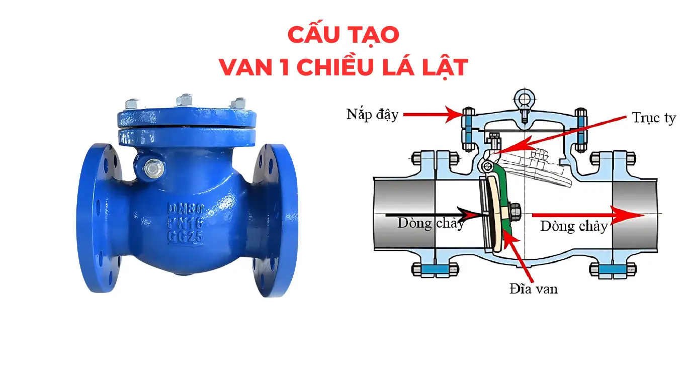 Cấu tạo chi tiết
