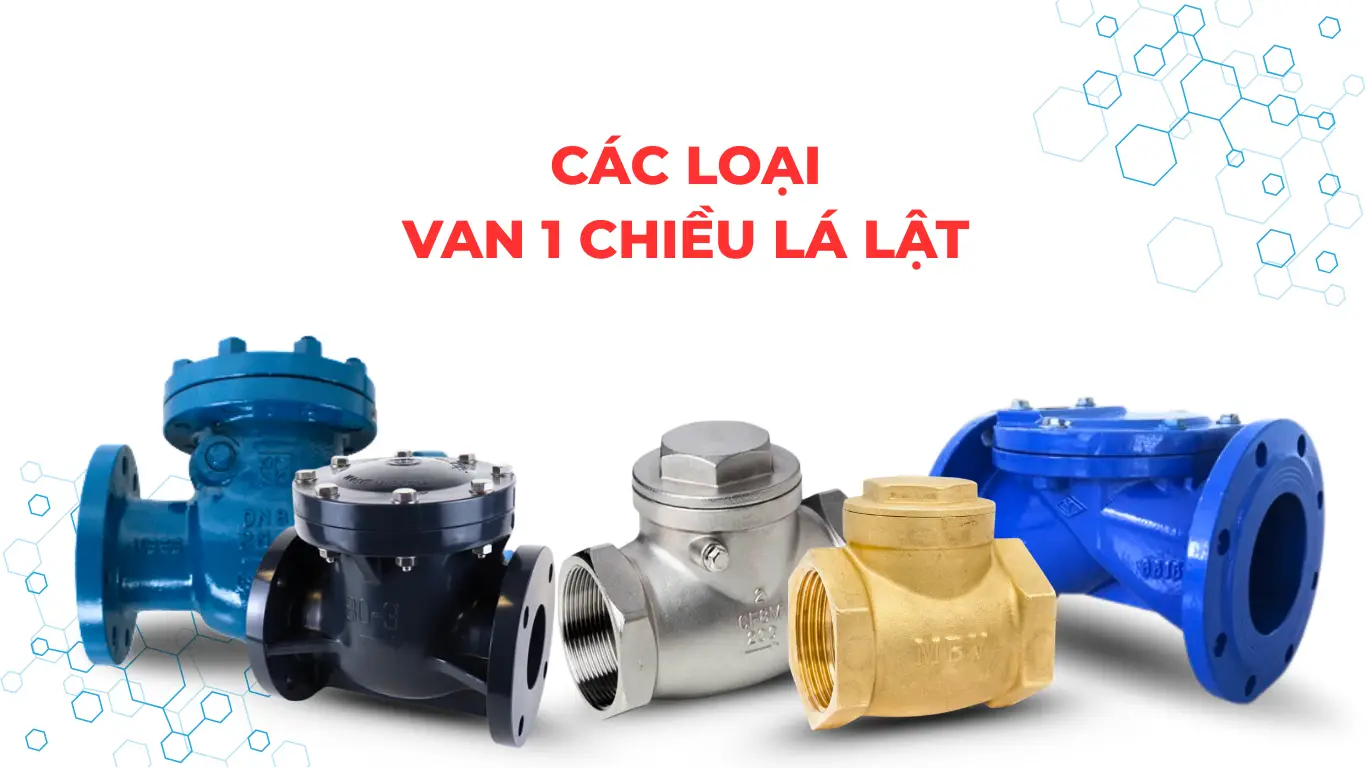 Các loại van một chiều lá lật