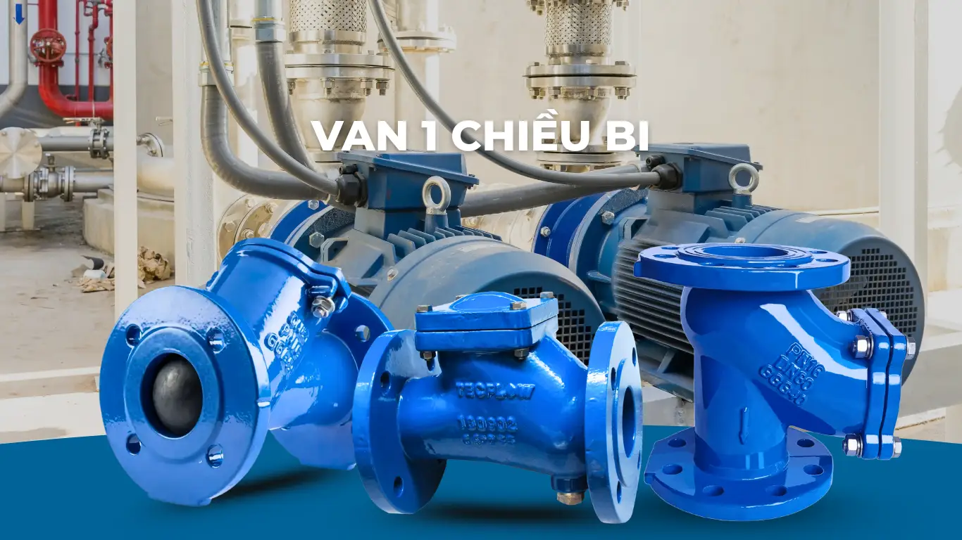 Van một chiều bi