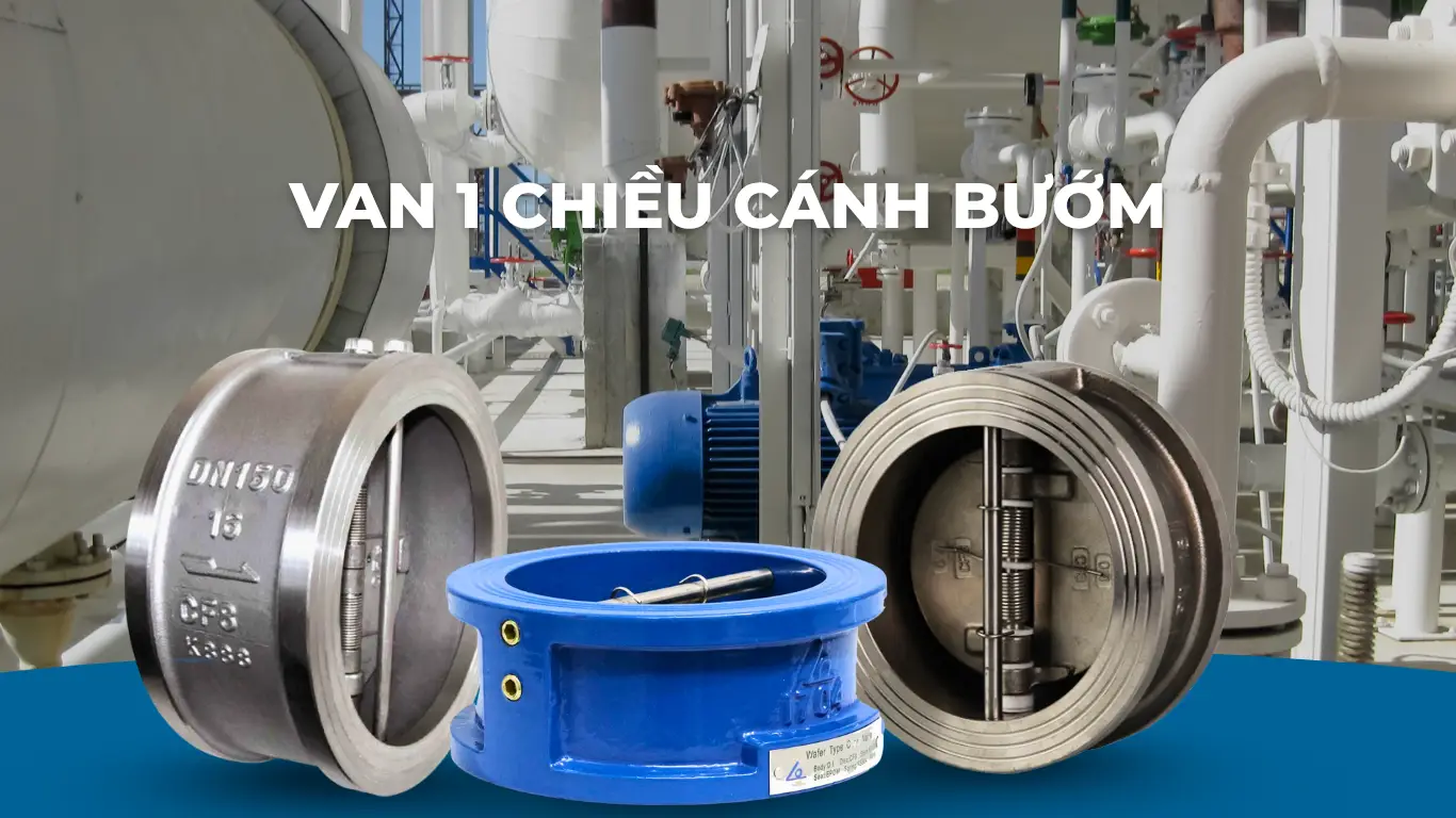 Van một chiều cánh bướm