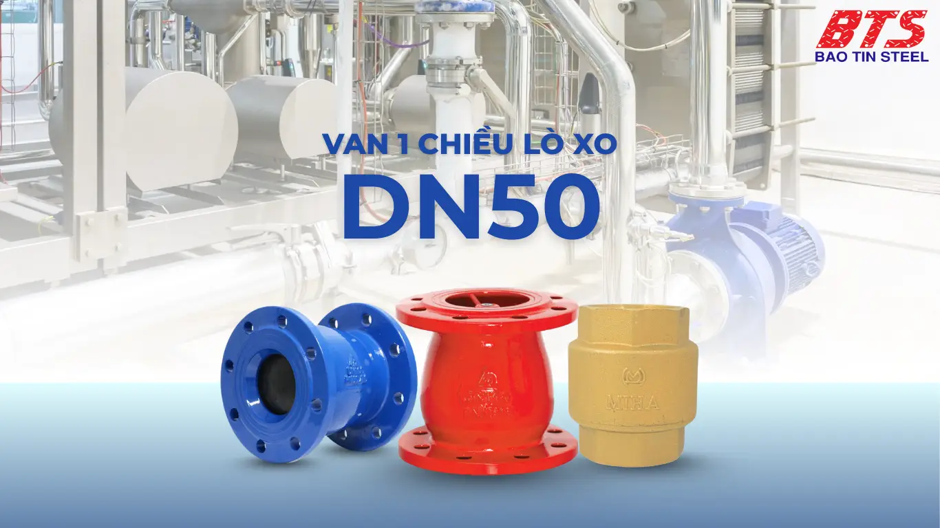 Van 1 chiều lò xo
