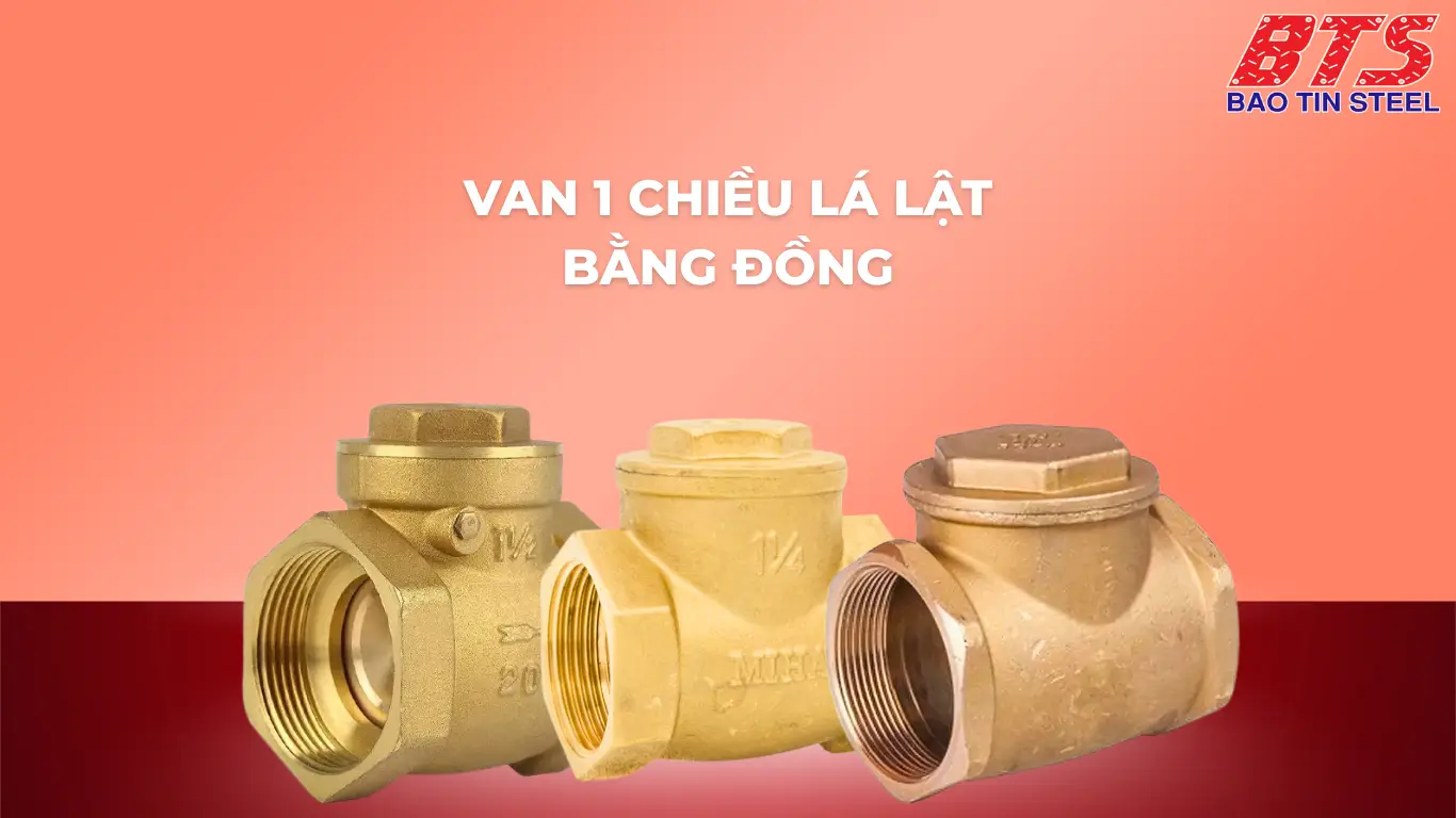 Van đồng 1 chiều lá lật
