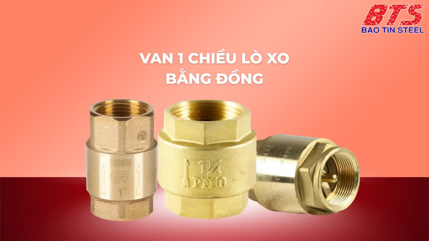 Van đồng 1 chiều lò xo