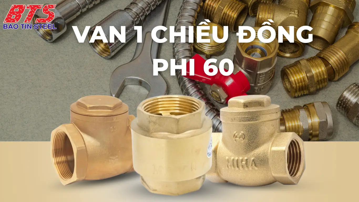 Các loại van 1 chiều đồng MIHA DN50