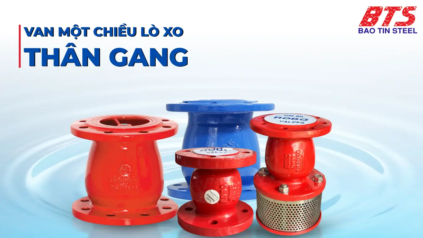 Van 1 chiều lò xo
