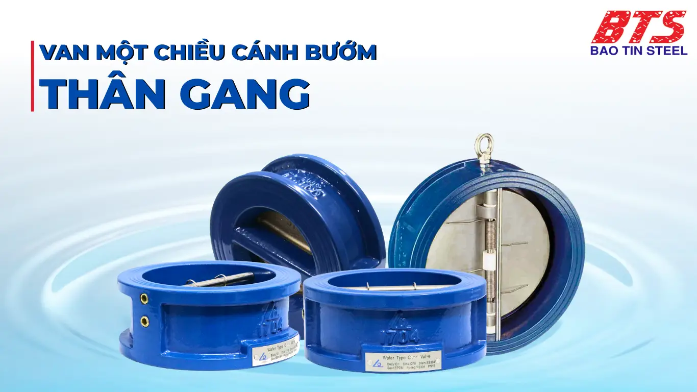 Van một chiều cánh bướm