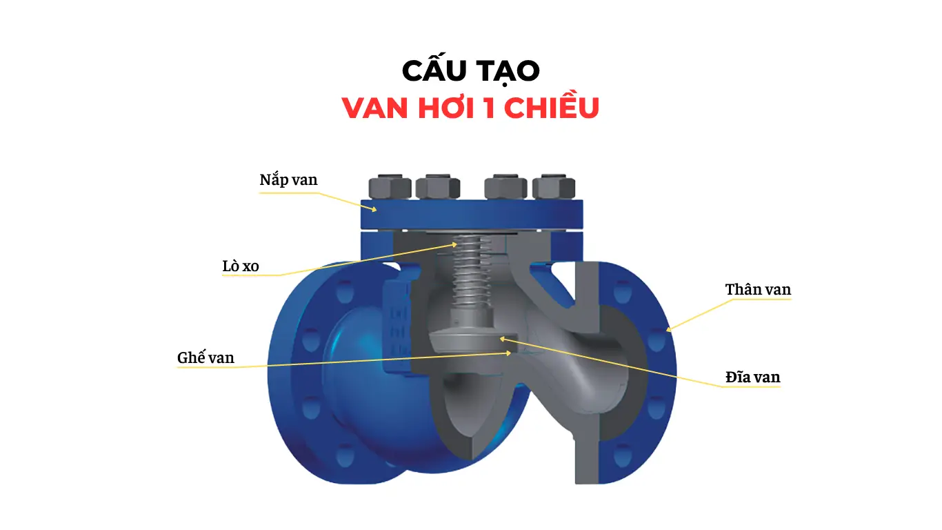 Cấu tạo chi tiết