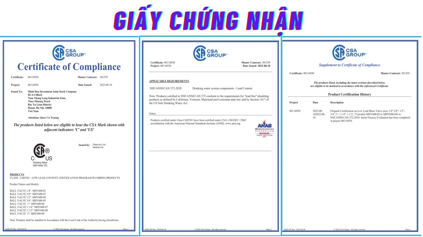 Giấy chứng nhận van Minnh Hòa 
